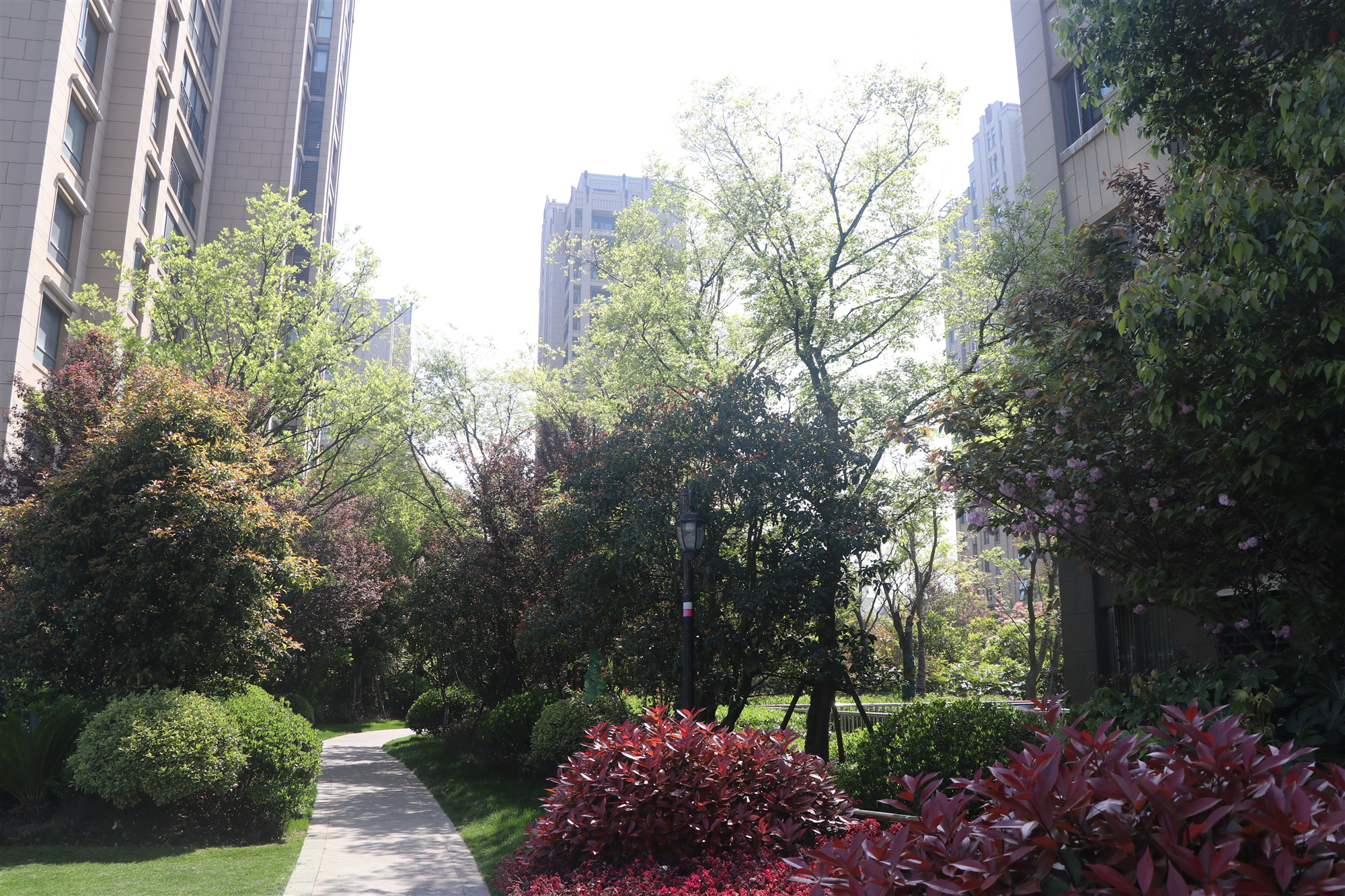 bbin·宝盈(中国)集团官方网站首页